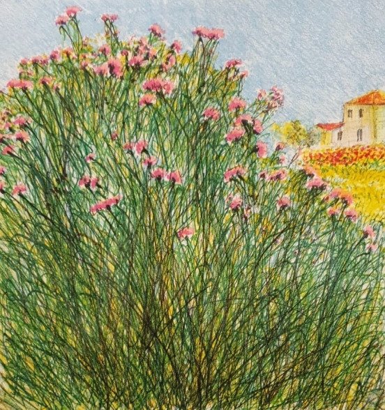 Franco Azzinari - Campo in fiore