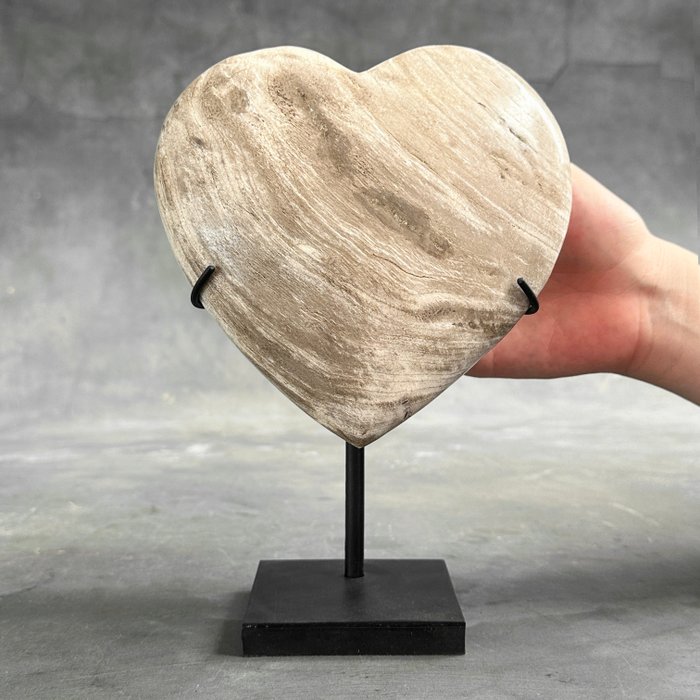 無底價 - 訂製支架上令人驚豔的心型矽化木 - 化石木材 - 20 cm - 13 cm  (沒有保留價)
