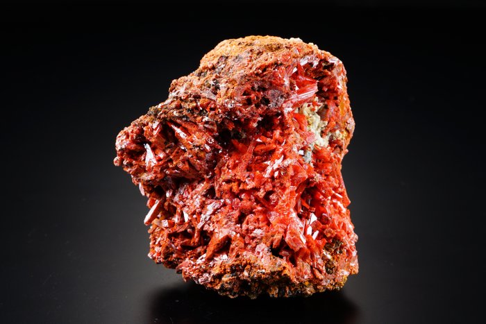 Crocoite 瘋狂的紅色水晶 - 頂部 - 高度: 62 mm - 闊度: 60 mm- 267 g