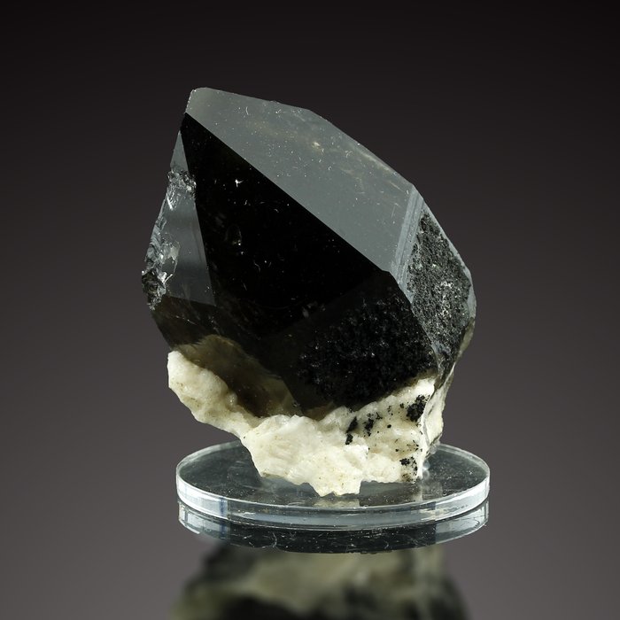 Morion de quartz fumé polonais avec inclusion de bavenite et chlorite - Rareté exceptionnelle Groupe de cristal - Hauteur : 4.5 cm - Largeur : 5 cm- 95 g - (1)