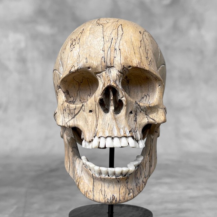 Carving, NO RESERVE PRICE - Stunning Wooden Human Skull With A Beautiful Grain - 17 cm - Tamarind wood - 2024