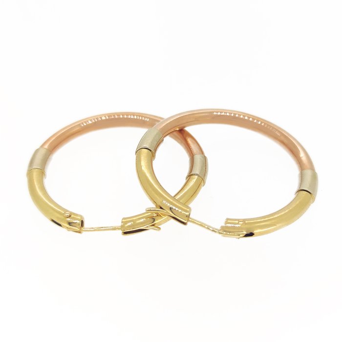 Earrings - 18 kt. Rose gold, White gold, Yellow gold 
