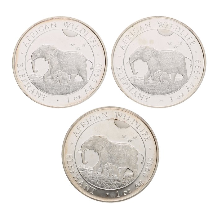 Somalie. 100 Shilling 2022 ''Elephant'', 3x1 Oz (.999)  (Sans Prix de Réserve)