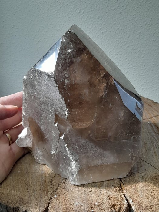 Rare pointe de quartz fumé XXL - Hauteur : 15 cm - Largeur : 13 cm- 3.3 kg