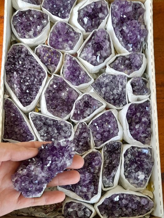 紫水晶晶体 - 深紫色- 2.6 kg - (28)