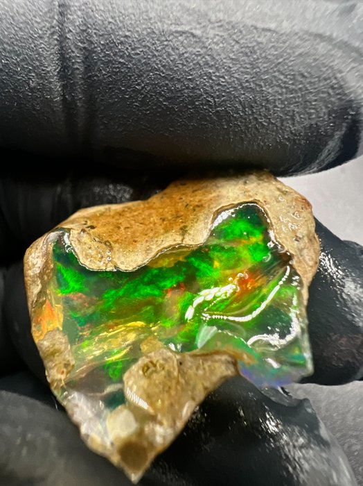 Opaal kristal opaal 23,1 karaat - 4,62 g - Hoogte: 25 mm - Breedte: 24 mm- 4.62 g