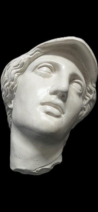 Statue, Testa di Atena - 35 cm - Marmorstaub
