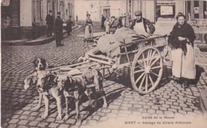 法國 - 狗組隊 - 阿登默茲河谷 - 明信片 (1) - 1900-1930