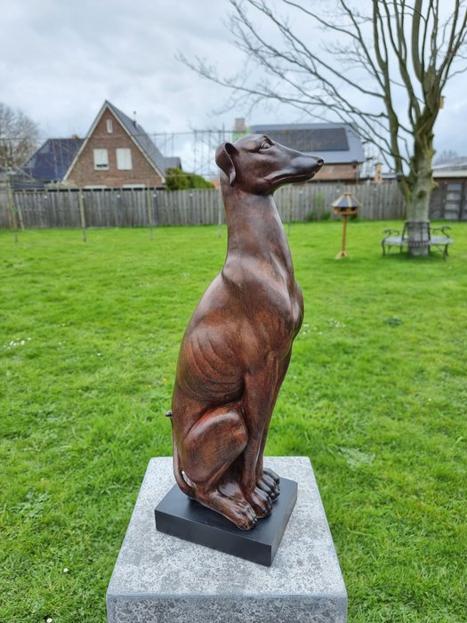 Statue, XL Dog Greyhound - New - 54 cm - Harz