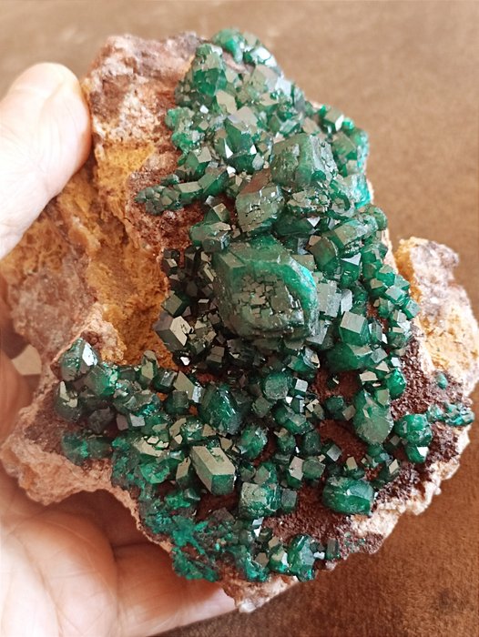 Riesiger DIOPTAS XXL, smaragdgrün, prächtige glänzende Kristalle, von denen einer 2,5 cm groß ist - Höhe: 130 mm - Breite: 108 mm- 1178 g - (1)