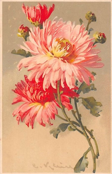 鲜花等（国际） - 明信片 (1200) - 1910-1965