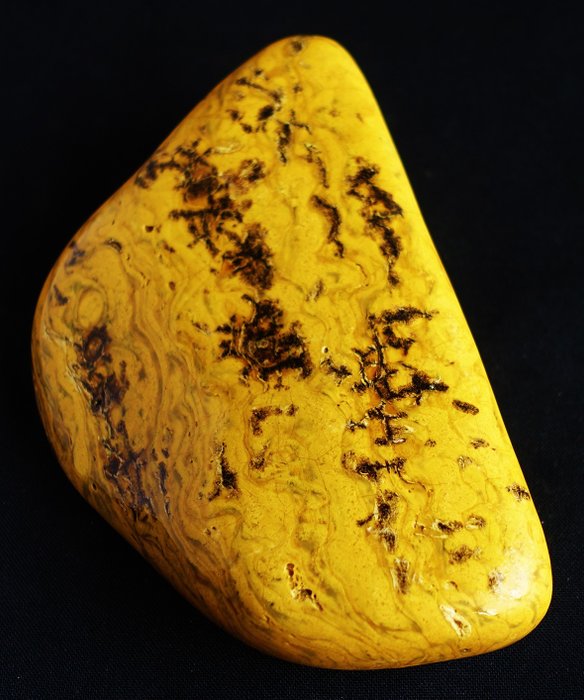 全拋光黃色琥珀片 - 西巴布亞 - 高度: 130 mm - 闊度: 90 mm- 317 g