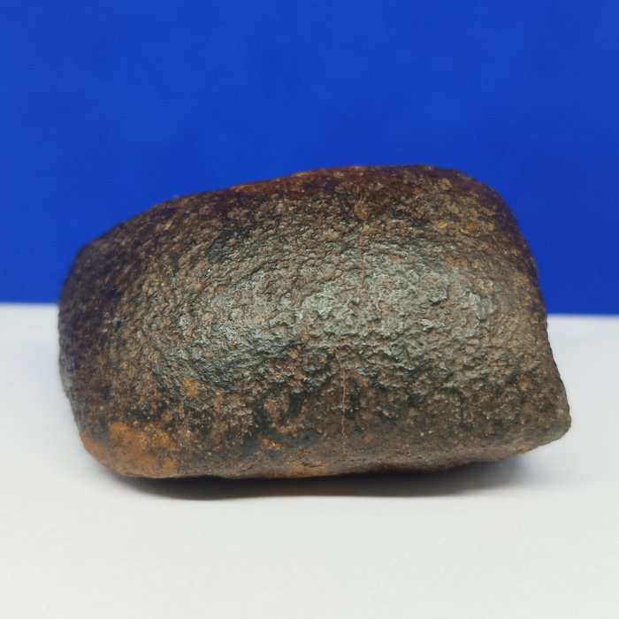 ORIENTERET Chondrite METEORIT. (Sahara, 2024). Meget fint! - 147 g