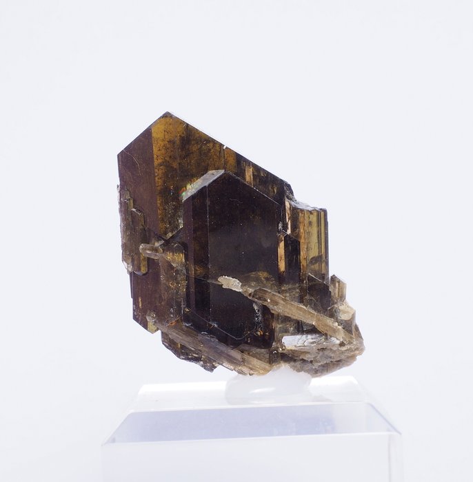 Clinozoisite 水晶群 - 高度: 3 cm - 闊度: 3 cm- 30 g
