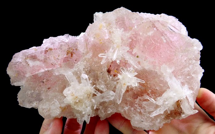 Vaaleanpunainen fluoriitti kvartsilla - Mondo Nuevon kaivos, Andit, Peru - Korkeus: 23 cm - Leveys: 17.1 cm- 2540 g