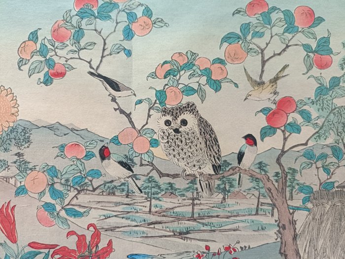 Da "Shinsen sōmoku kachō gafu" 新撰草木花鳥画譜 (Album appena selezionato di flora e fauna) - 1881 circa - Carta - Shiba Rinsai 芝琳斎 (1847-?) - Giappone - Periodo Meiji (1868-1912)