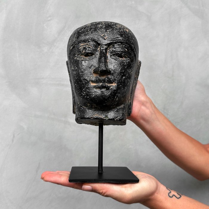Posąg, NO RESERVE PRICE - Budha Head on stand - 23 cm - Kamień lawowy - 2024