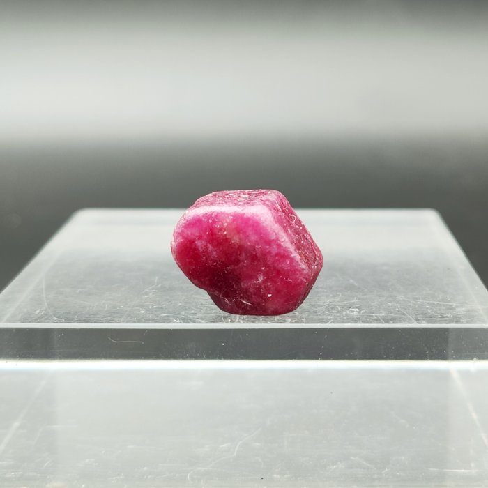 Iso RUBY 31,55 ct, AINUTLAATUINEN Crystal, 100% Natural Kristalli- 6.31 g