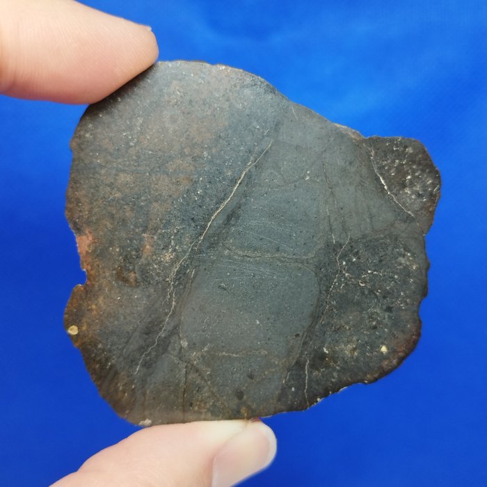 CHONDRITE Impact Melt Breccia L6. Meteorit IFTIYSSANE (Marokko, 2021). XL. OHNE MINDESTPREIS!!! - 60.8 g