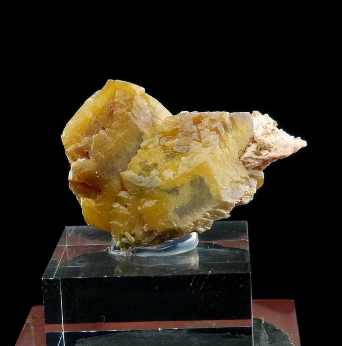 重晶石上的分區鎢鐵礦和矽鐵礦 - 法國博若萊朗蒂尼 - 高度: 2.5 cm - 闊度: 1.8 cm- 7 g