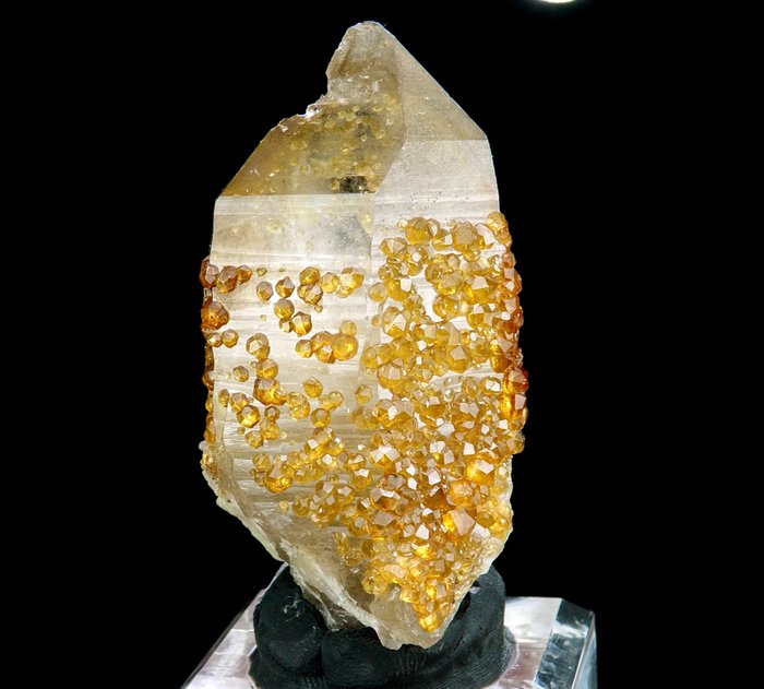 石英上的錳鋁榴石石榴石（含錳鋁榴石內含物） - 中國福建省通北市 - 高度: 6.5 cm - 闊度: 3.4 cm- 72 g