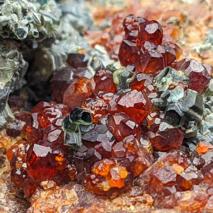 BLUTROTER HESSONIT, Granat mit GRÜNEM CLINOCHLOR Kristalle auf Muttergestein - Höhe: 104 mm - Breite: 72 mm- 561 g