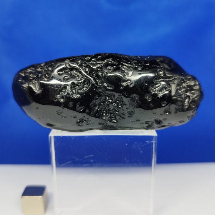 TEKTITE -隕石的影響- 八十萬年！！！拋光 XL。 - 64 g