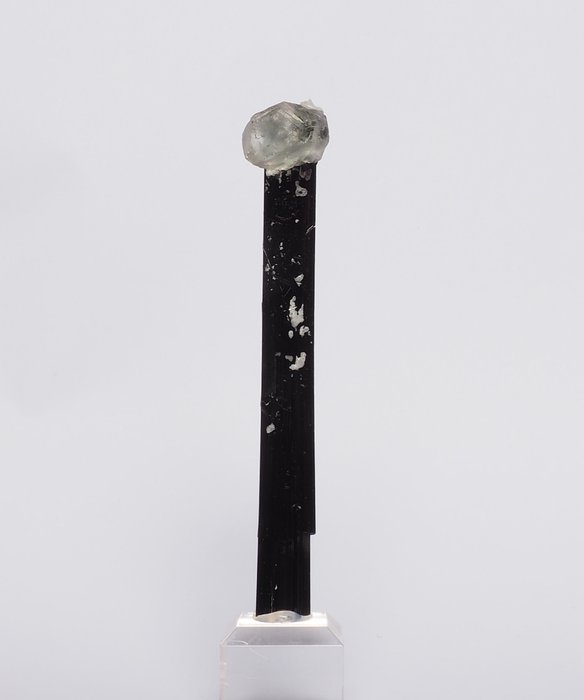 Fluoriitti Kristallit välimassassa - Korkeus: 1 cm - Leveys: 9.5 cm- 70 g