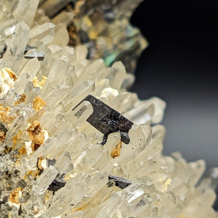 石英和金黄铁矿上的休斯顿铁矿 水晶矩晶体 - 高度: 97 mm - 宽度: 62 mm- 365.15 g - (1)