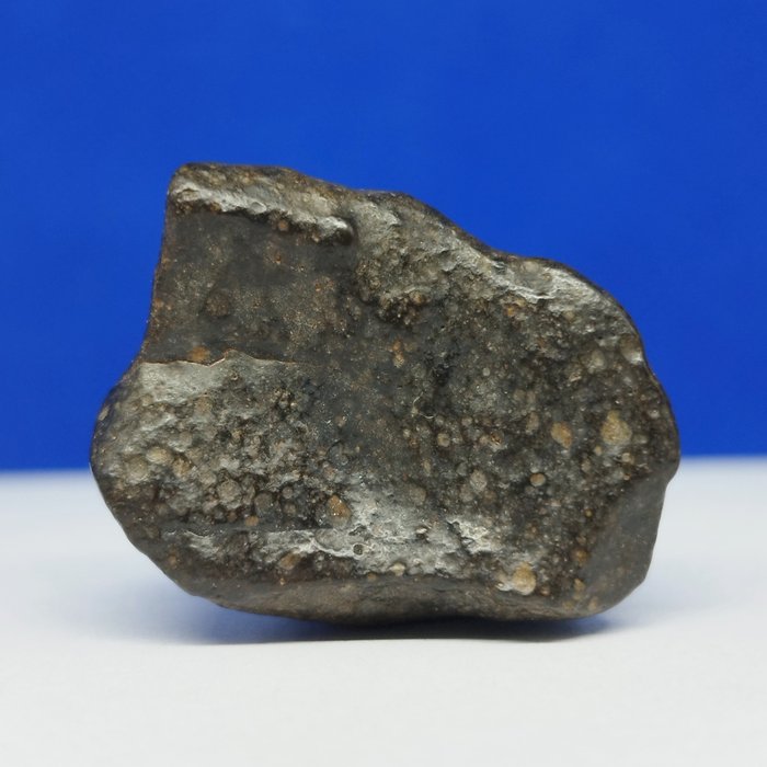 -全球僅 1959 克 - RUMURUTI 球粒隕石 R3-6。 NWA 13683（撒哈拉，2018） 完整的一塊。最好的品質！ - 16.4 g