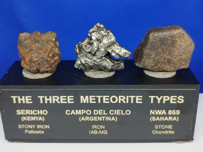 Fantastisk METEORIT KOLLEKTION. Sky Field (jern) / Sericho (Pallasite) / NWA 869 (Chondrite). GAVESTAND. - 83 g