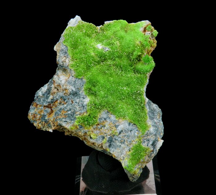 Pyromorphite - Mine de Saint-Salvy, Tarn, France - Hauteur : 5.5 cm - Largeur : 4.3 cm- 26 g