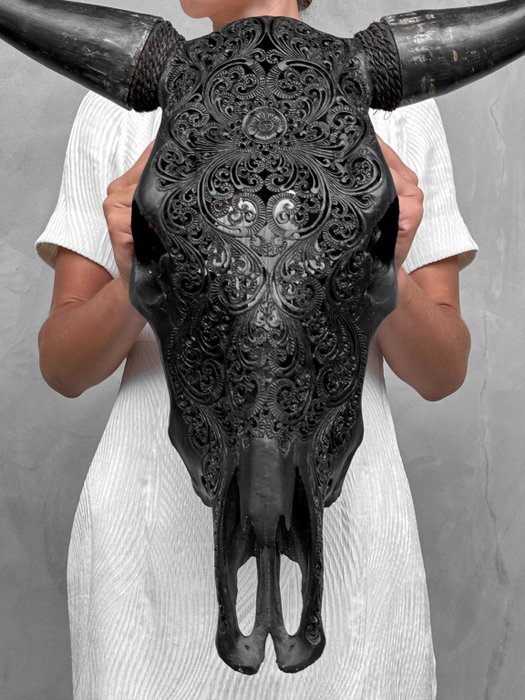 INGET RESERVPRIS - Dödskallekonst - Autentisk svart handsnidad tjurskalle - Traditionellt Snidad skalle - Bos Taurus - 54 cm - 61 cm - 16 cm