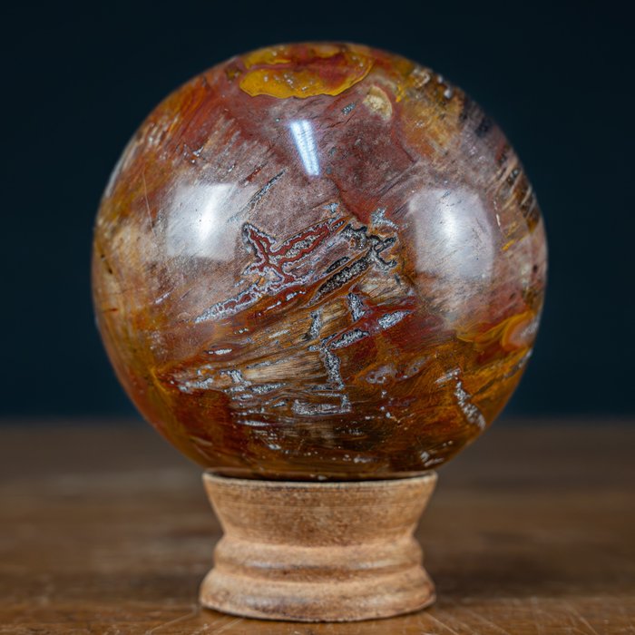 Natural Sphere of Petrified Wood- 814.49 g