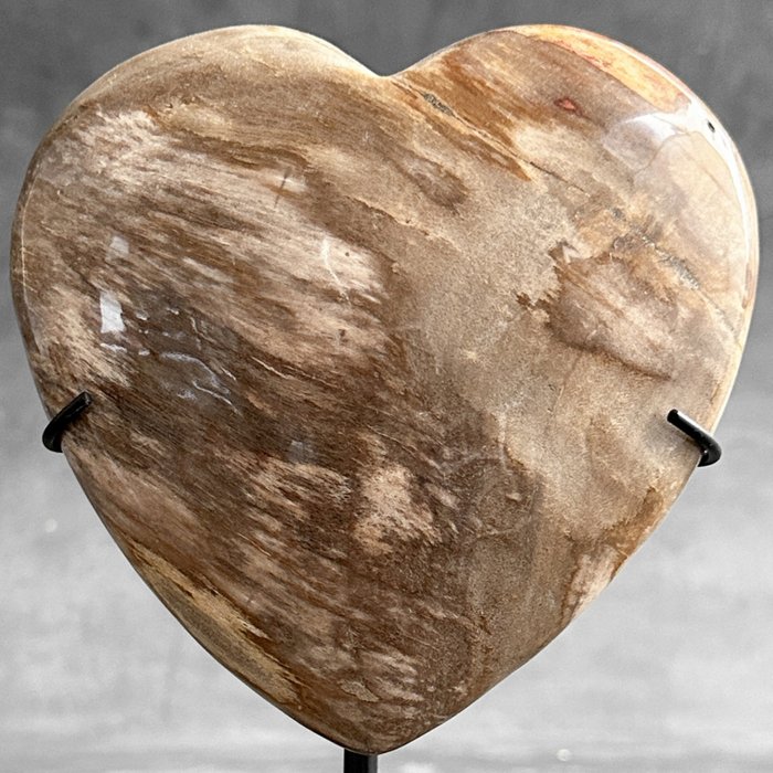 FĂRĂ PRET DE REZERVĂ - Uimitoare inimă din lemn pietrificat pe un suport personalizat - Lemn fosilizat  - Petrified Wood - 20 cm - 13 cm  (Fără preț de rezervă)