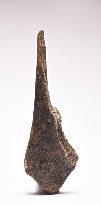 Neolithikum-Eisenzeit Knochen Stecker  (Ohne Mindestpreis)