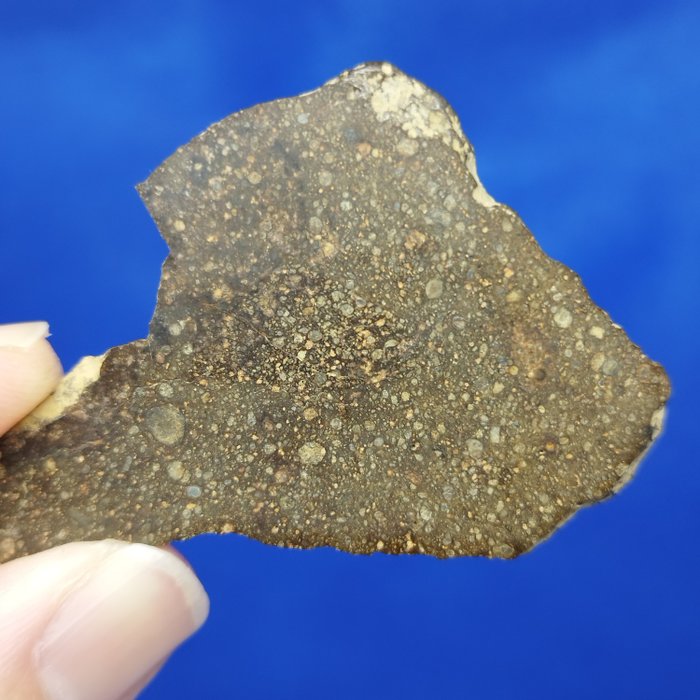 Hunderte von Chondrulen!!! RUMURUTI R3 Meteorit. Neues GRIZIM 001 (Algerien, 2021). Die beste Qualität! - 8.5 g