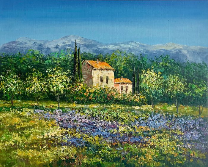 Touar (XX) - Paradis de Provence