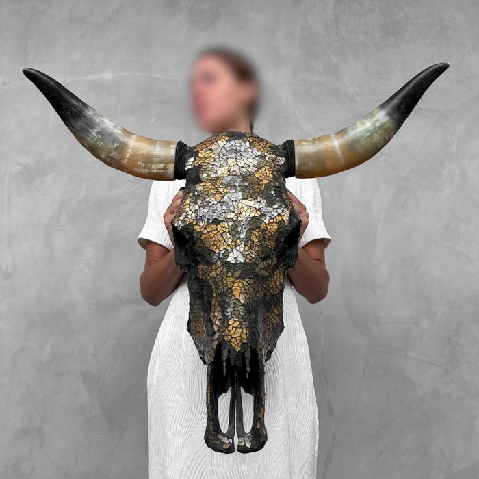 NINCS RESERVE - C - Skull Art - Nagy autentikus bikakoponya - Üveg mozaik berakással - Koponya - Bos Taurus - 60 cm - 70 cm - 27 cm- Nem CITES-fajok -  (1)