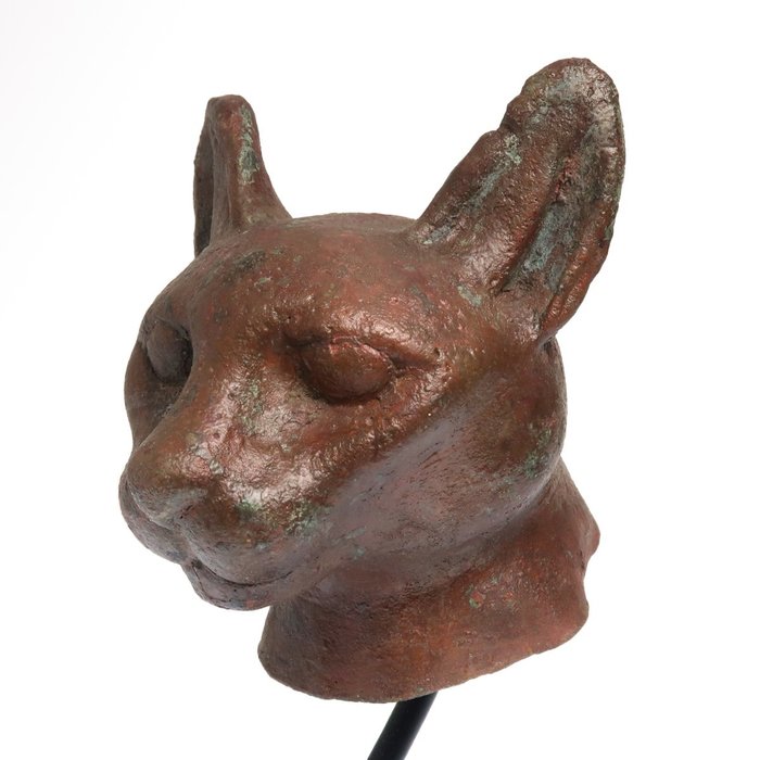 Ancient Egyptian Bronze Head of a Cat