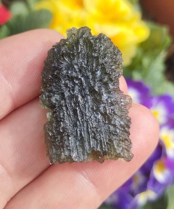捷克隕石 - 來自捷克共和國新霍斯波達 - 高度: 37 mm - 闊度: 24 mm - 14.9 g
