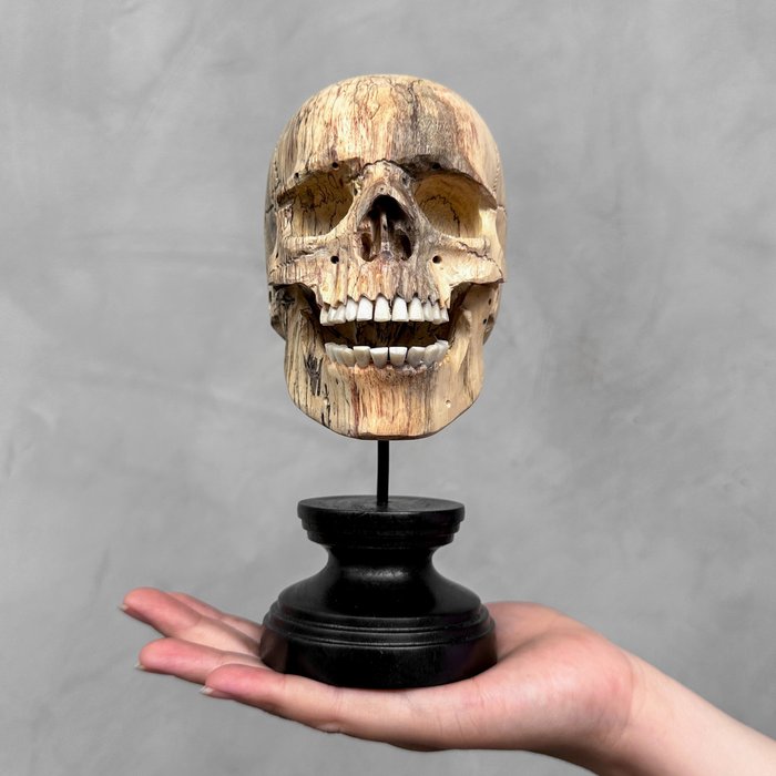 Schnitzerei, NO RESERVE PRICE - Hand-carved Wooden Human Skull With Stand - 18 cm - Tamarindenholz - 2024