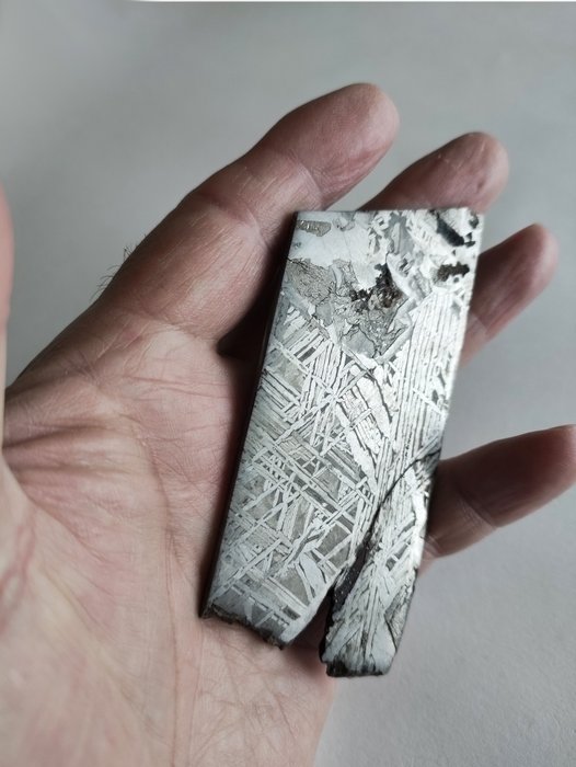 Aletai Meteorit Eisenmeteorit - Höhe: 101.2 mm - Breite: 43 mm - 90 g - (1)