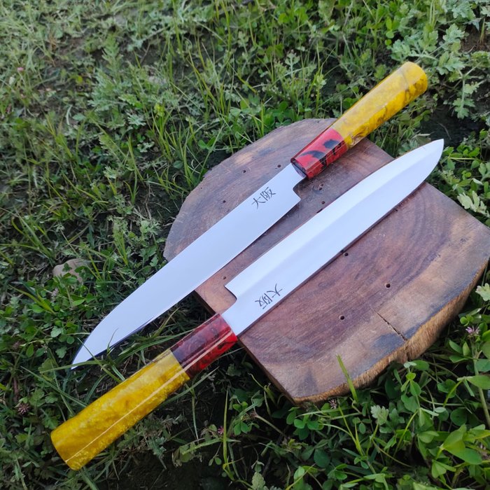 Küchenmesser - Japanisches professionelles Yanagiba, Gyuto-Messer mit mehrfarbiger Harzplatte. - Asien
