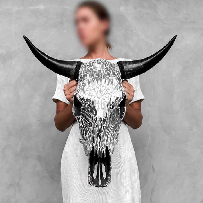 SIN PRECIO DE RESERVA - Cráneo de toro auténtico grande -Vidrio con incrustación de mosaico- Cráneo - Bos Taurus - 50 cm - 53 cm - 26 cm- Especie no CITES -  (1)