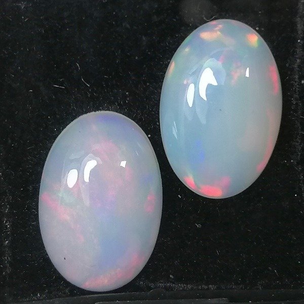 2 pcs  Edele opaal - 5.89 ct