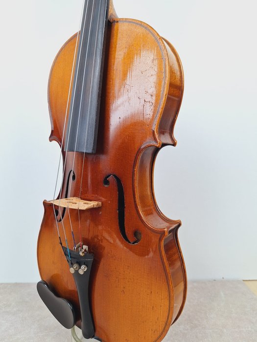 Labelled Schuster -  - Violine - Deutschland