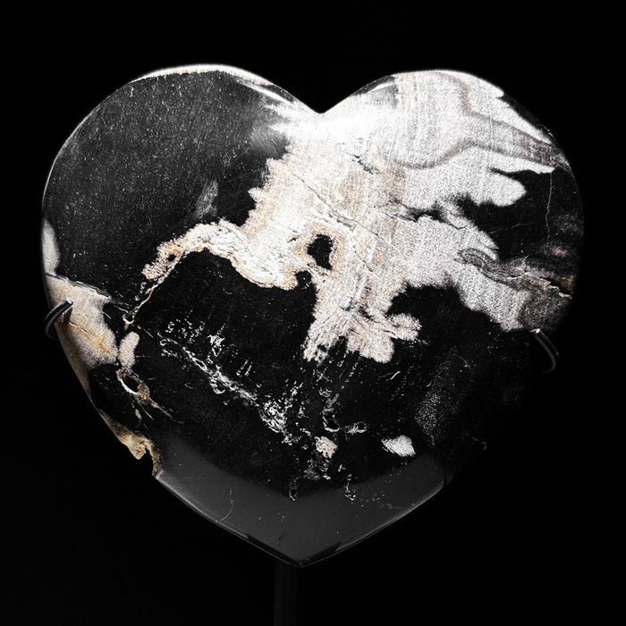 FĂRĂ PRET DE REZERVĂ - Uimitor în formă de inimă din lemn pietrificat pe un suport personalizat - Lemn fosilizat  - 20 cm - 15 cm  (Fără preț de rezervă)