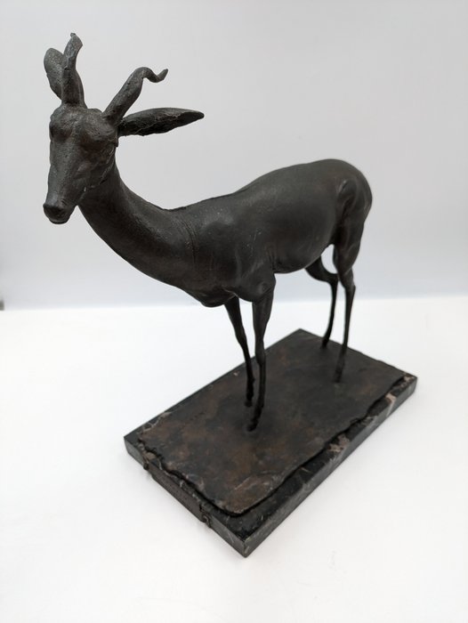 Nando Conti (1906-1960) - Escultura, Gazzella - 36 cm - Bronce