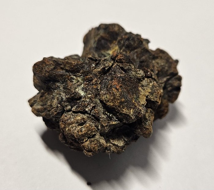 Sericho meteoriet in display - pallasite - Hoogte: 34 mm - Breedte: 29 mm - 29.5 g - (1)